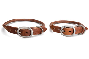 Angus Barrett Rolled Leather Dog Collar in Brown
