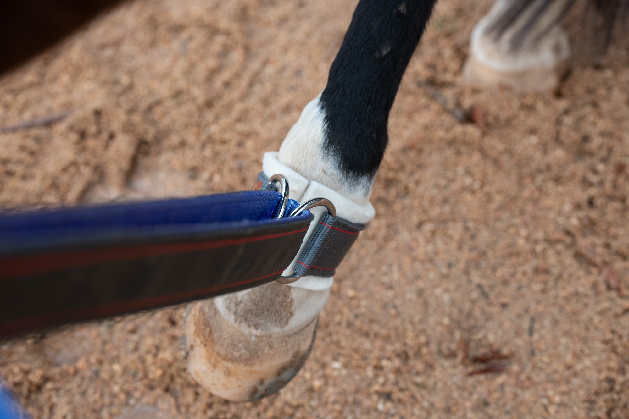 Collar Strap used with our pure wool fetlock strap (sold separately)