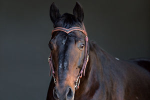Station Bridle - Braided Brow - Natural