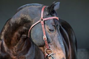 Station Bridle - Fully Stitched - Natural
