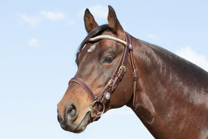 Tassa Bridle with Braided Brown in Rawhide Lacing Leather
