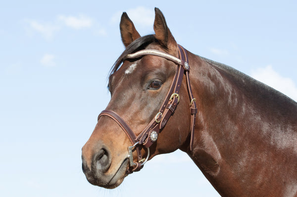 Bridles | Buy Australian Made Leather Bridles Online - Angus Barrett ...