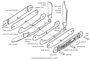 Robert Klaas Pocket Knife with Genuine Stag Handle