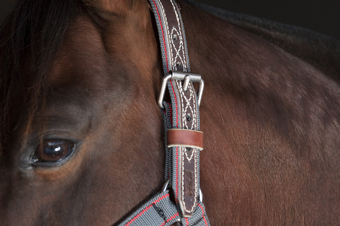 Angus Barrett Tie Up Halter is fully stitched around the buckle holes for extra strength and durability