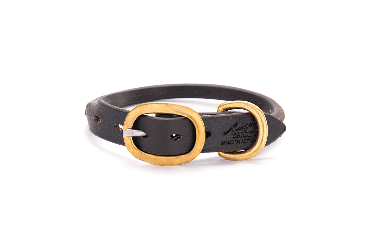 Dog collars online deals