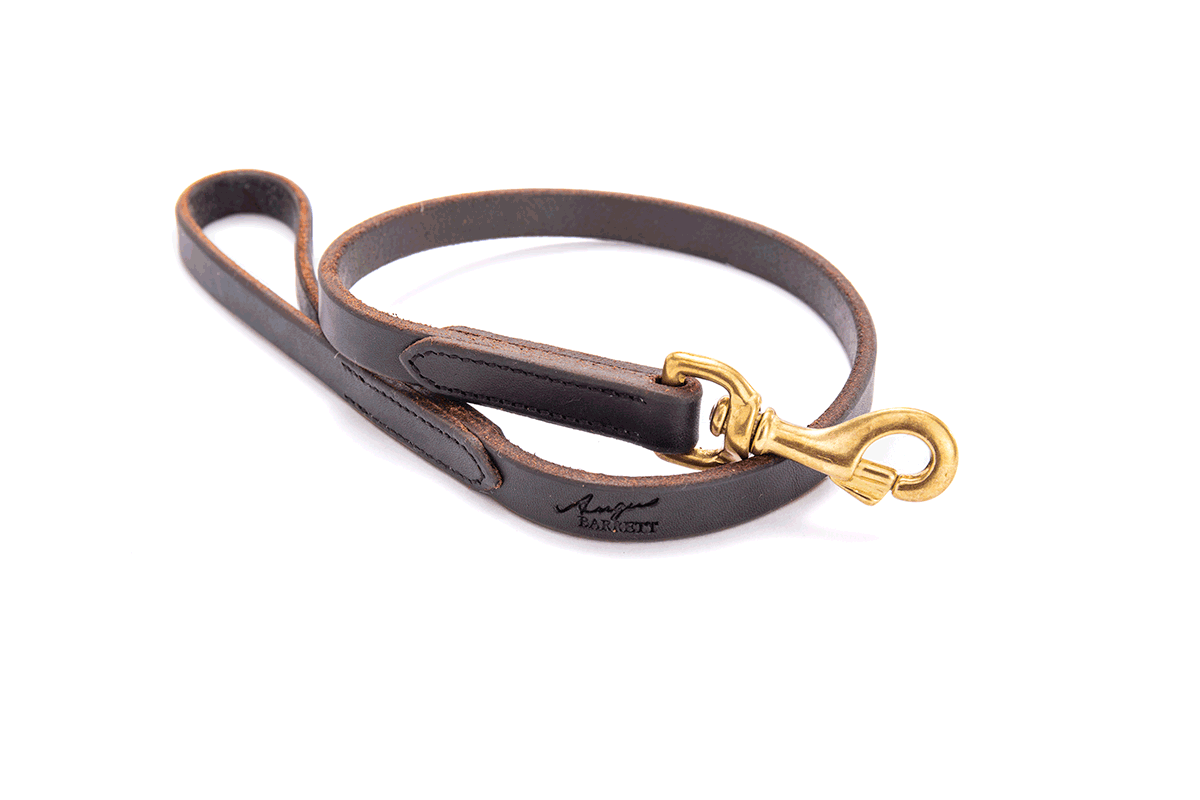 Leather Dress Dog Lead Chocolate