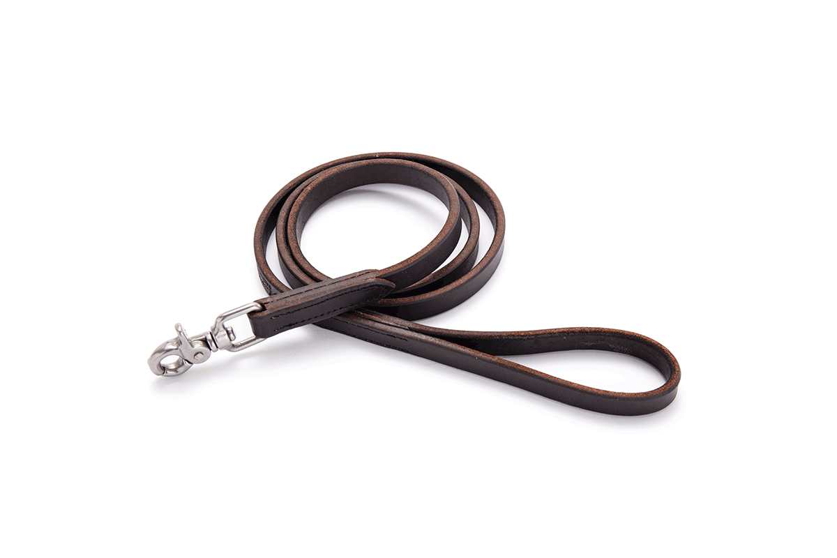 Leather Dress Dog Lead Chocolate