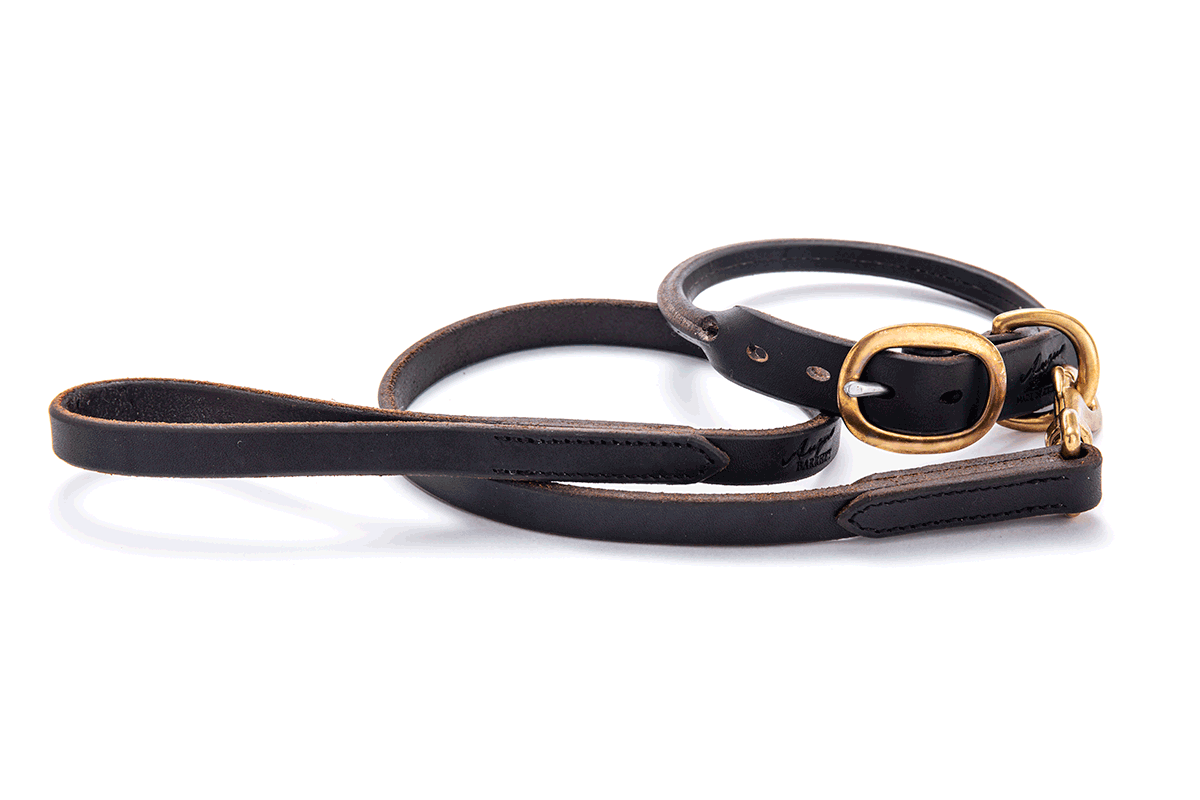 Rolled Leather Dress Dog Collar (Chocolate)