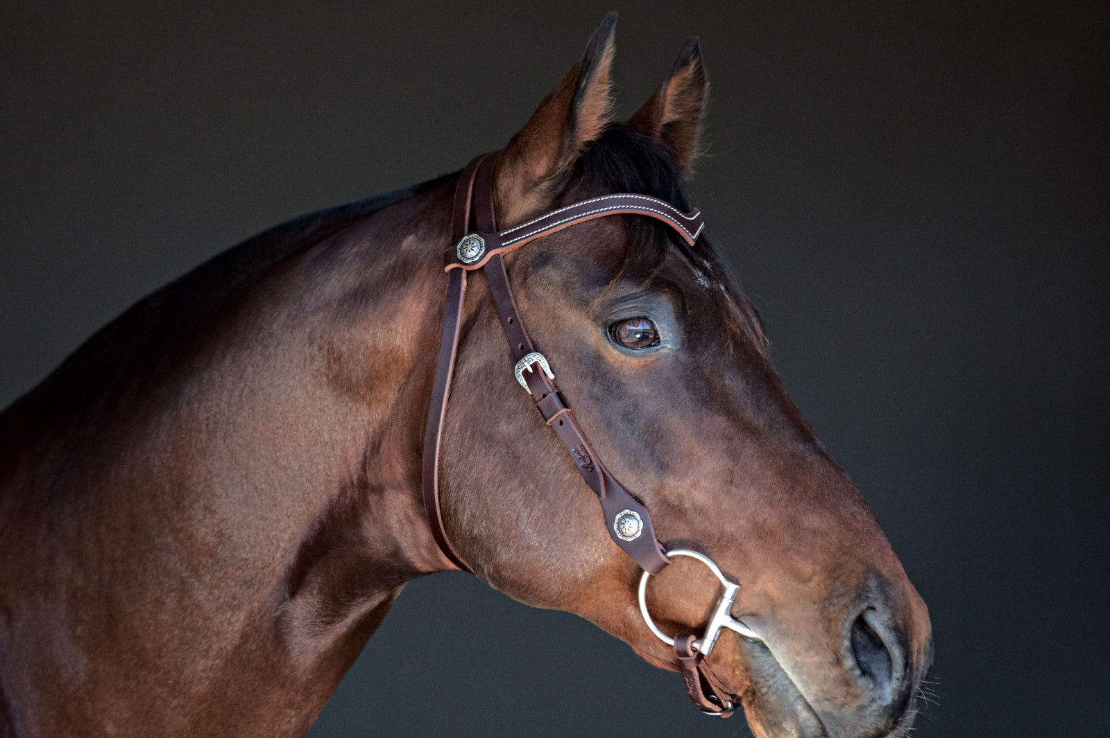 La Pin Leather Bridle | Angus Barrett Saddlery 