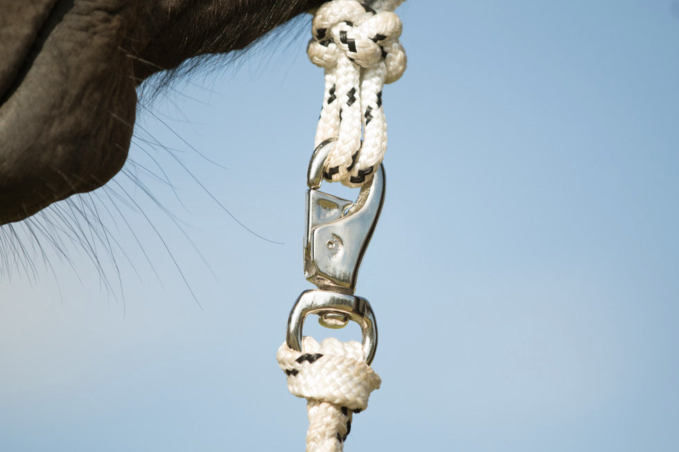 Lead Rope Clip | Angus Barrett Saddlery
