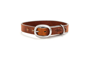 Leather Cat Collar with Stainless Steel Buckle | Angus Barrett Saddlery and Leather Goods
